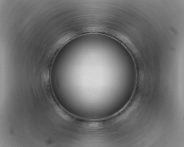 X0000114160841200910151604