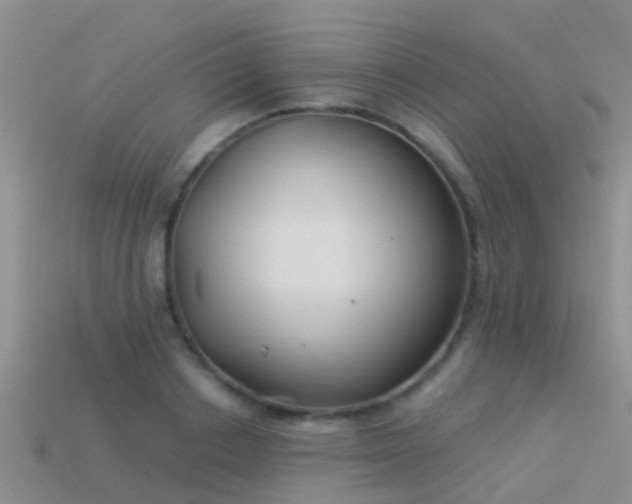 X0000114160842200910151604