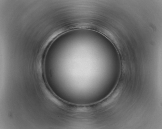 X0000114160843200910151604