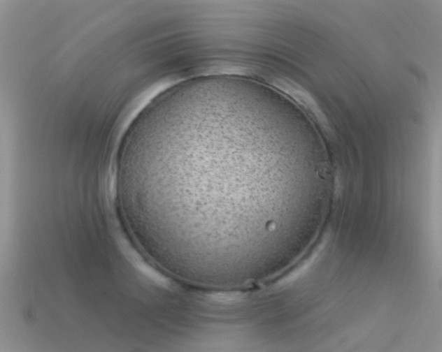 X0000114160844200910151604