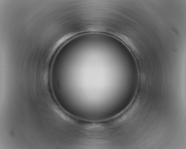 X0000114160846200910151604