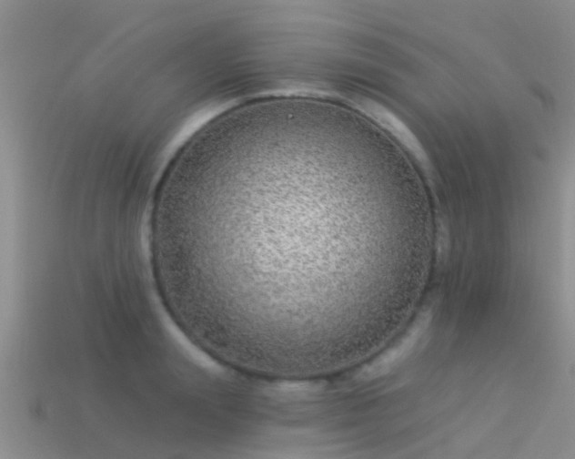 X0000114160847200910151604