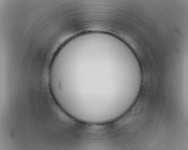 X0000114160848200910151604