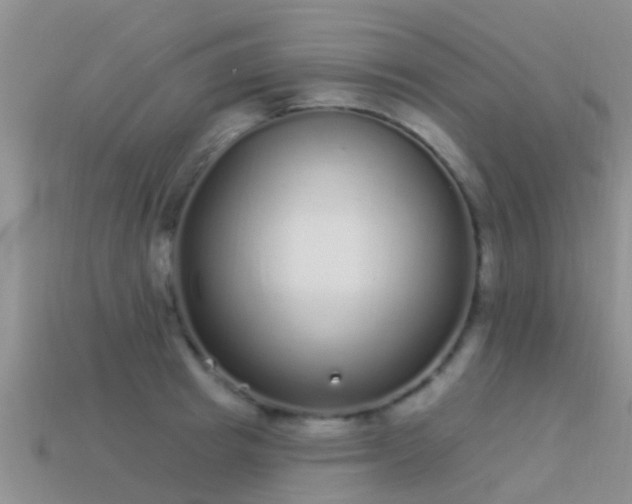 X0000114160849200910151604