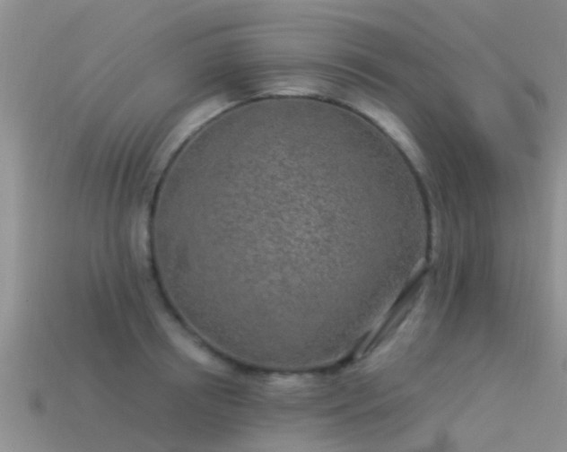 X0000114160850200910151604