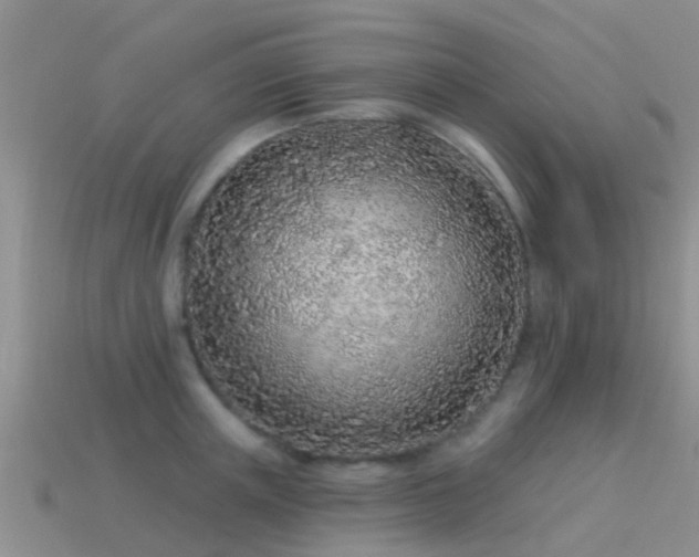 X0000114160851200910151604