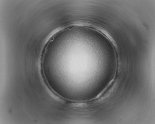 X0000114160853200910151604