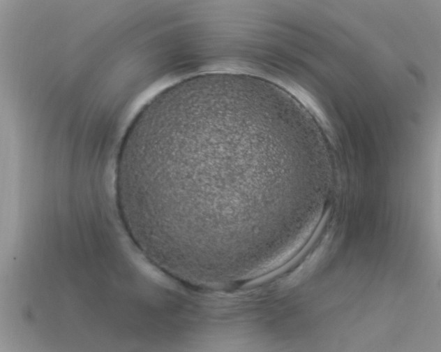 X0000114160854200910151605