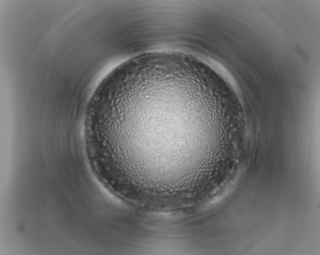 X0000114160855200910151605