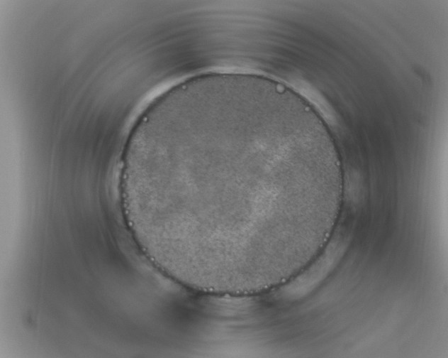 X0000114160856200910151605