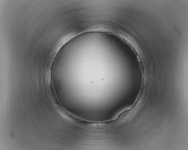 X0000114160858200910151605