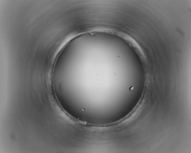 X0000114160860200910151605