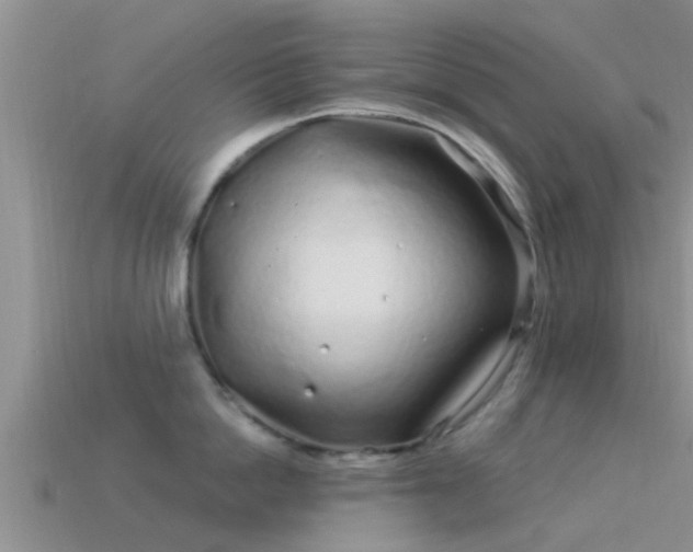 X0000114160862200910151605