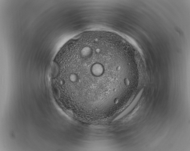 X0000114160863200910151605