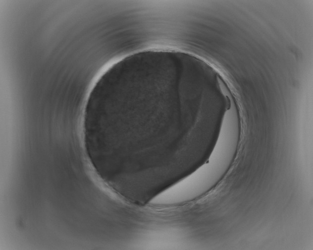 X0000114160864200910151605