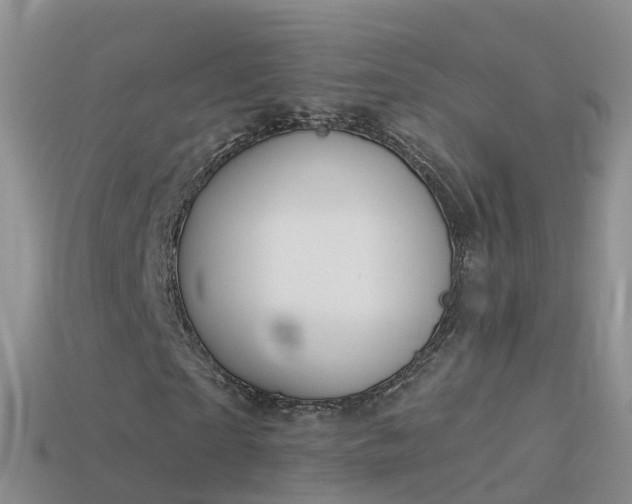 X0000114160865200910151604