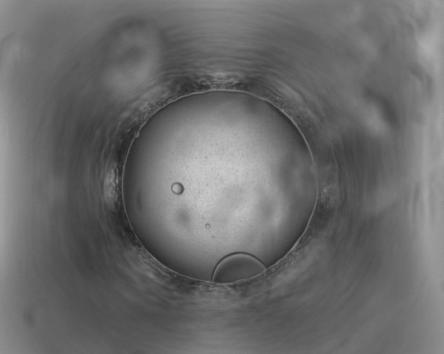 X0000114160866200910151604