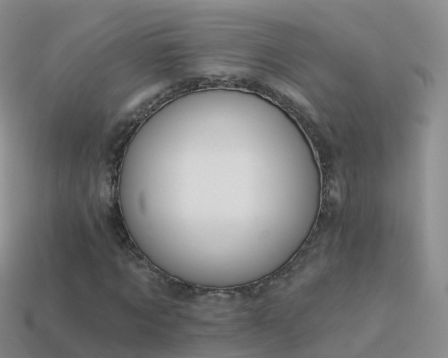 X0000114160869200910151604