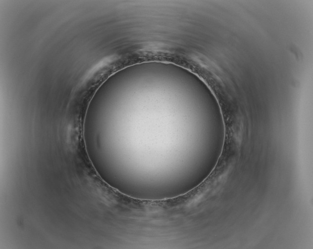 X0000114160870200910151604