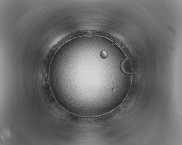 X0000114160871200910151604