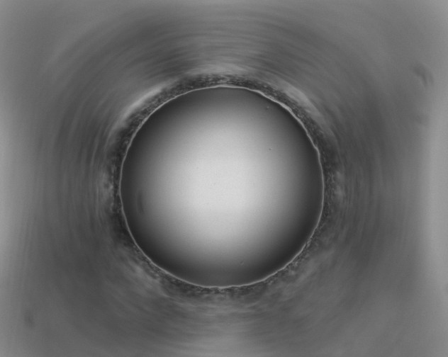 X0000114160872200910151604