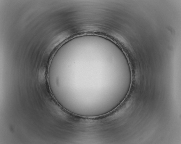 X0000114160873200910151604