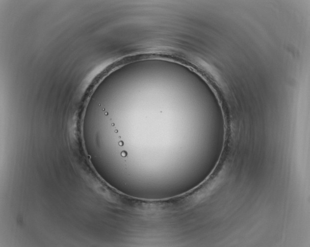 X0000114160875200910151604