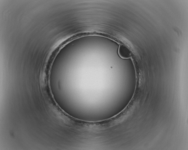 X0000114160876200910151604