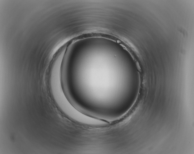 X0000114160877200910151604