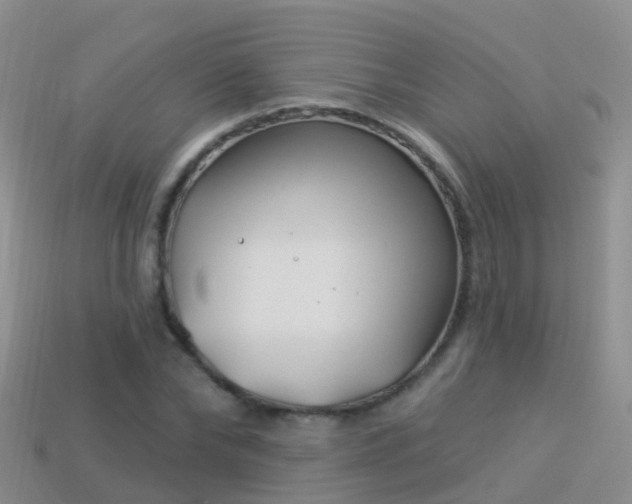 X0000114160878200910151604