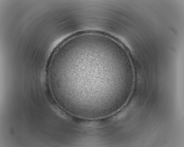 X0000114160879200910151604