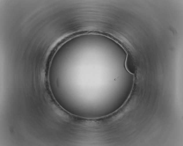 X0000114160880200910151604