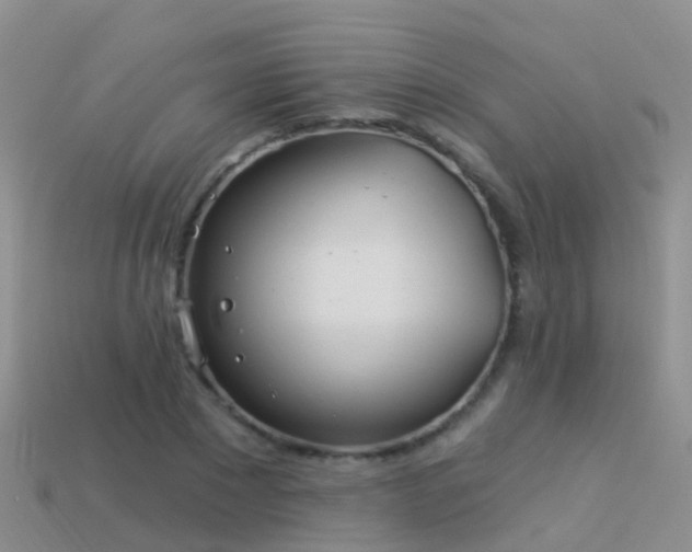 X0000114160881200910151604