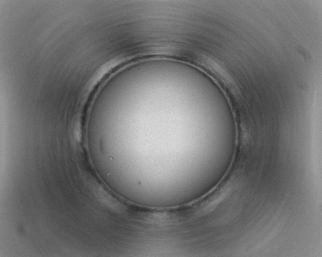 X0000114160883200910151604