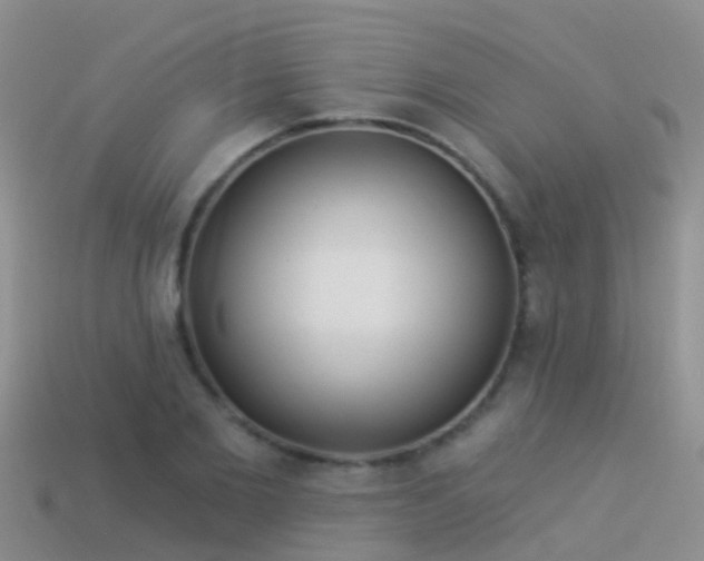 X0000114160885200910151604