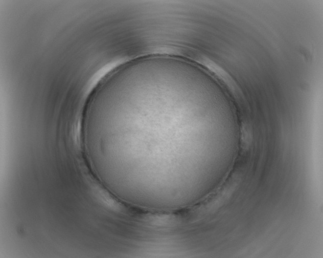 X0000114160886200910151604