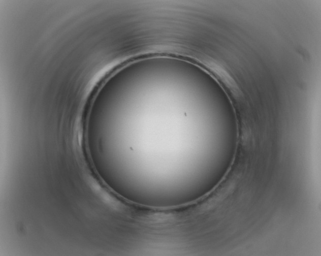 X0000114160888200910151604