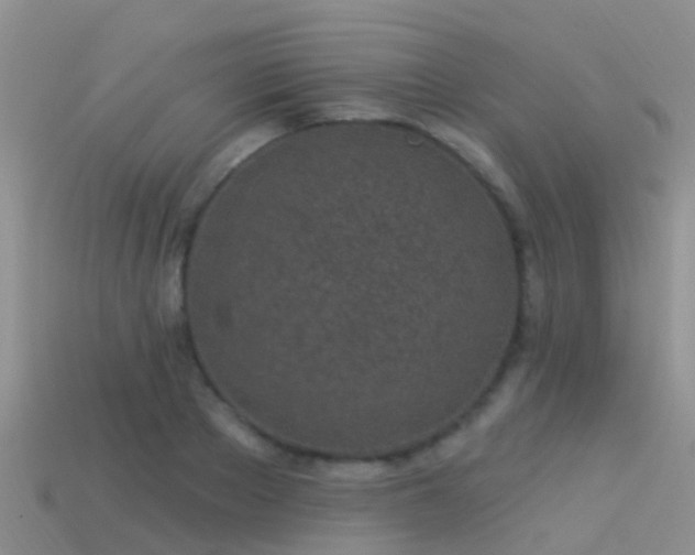 X0000114160889200910151604