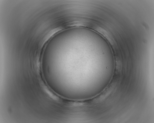 X0000114160890200910151604