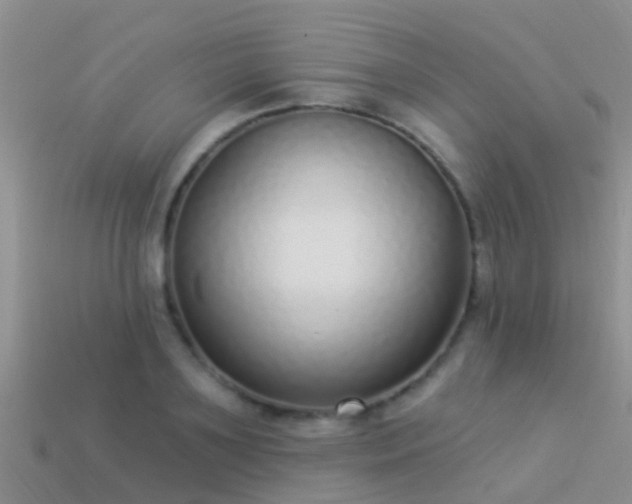 X0000114160891200910151604