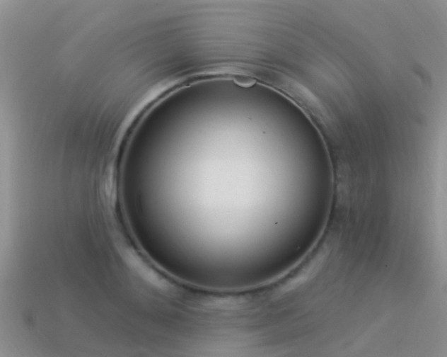 X0000114160892200910151604