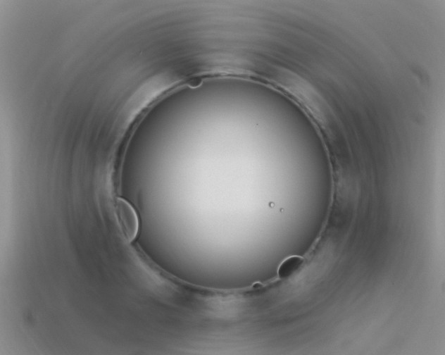 X0000114160893200910151604