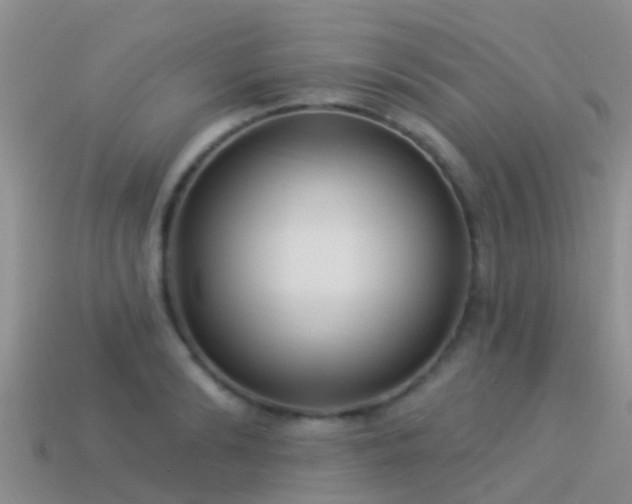 X0000114160894200910151604