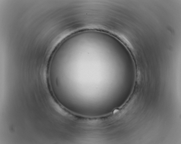 X0000114160895200910151604