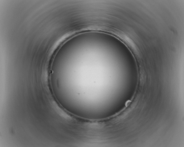 X0000114160896200910151603