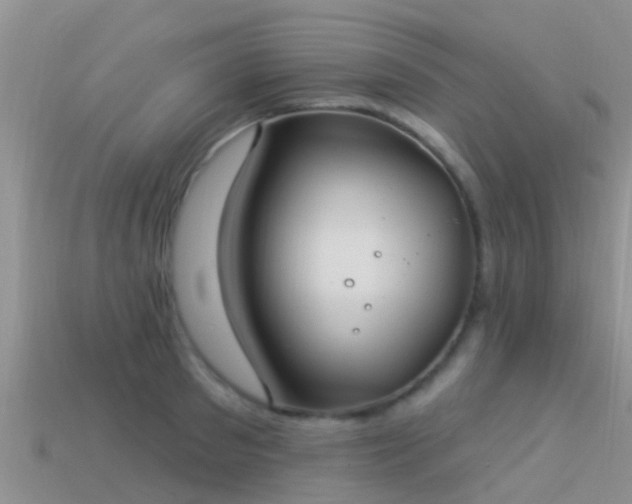 X0000114160897200910151603