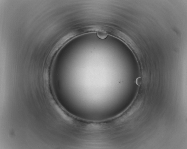 X0000114160898200910151603