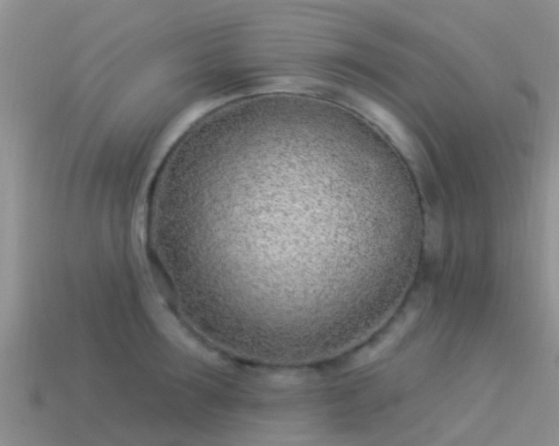 X0000114160899200910151603