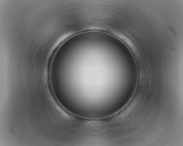 X0000114160902200910151603