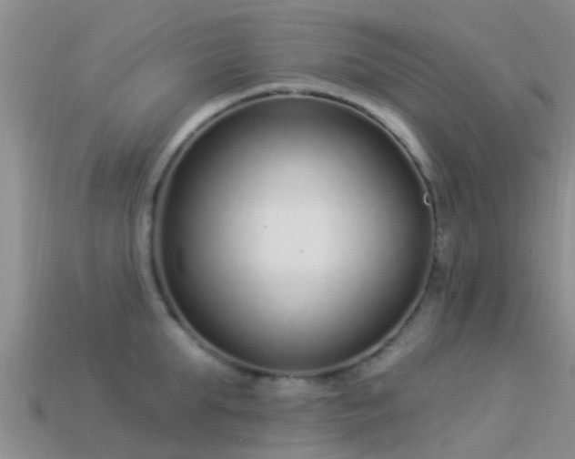 X0000114160903200910151603